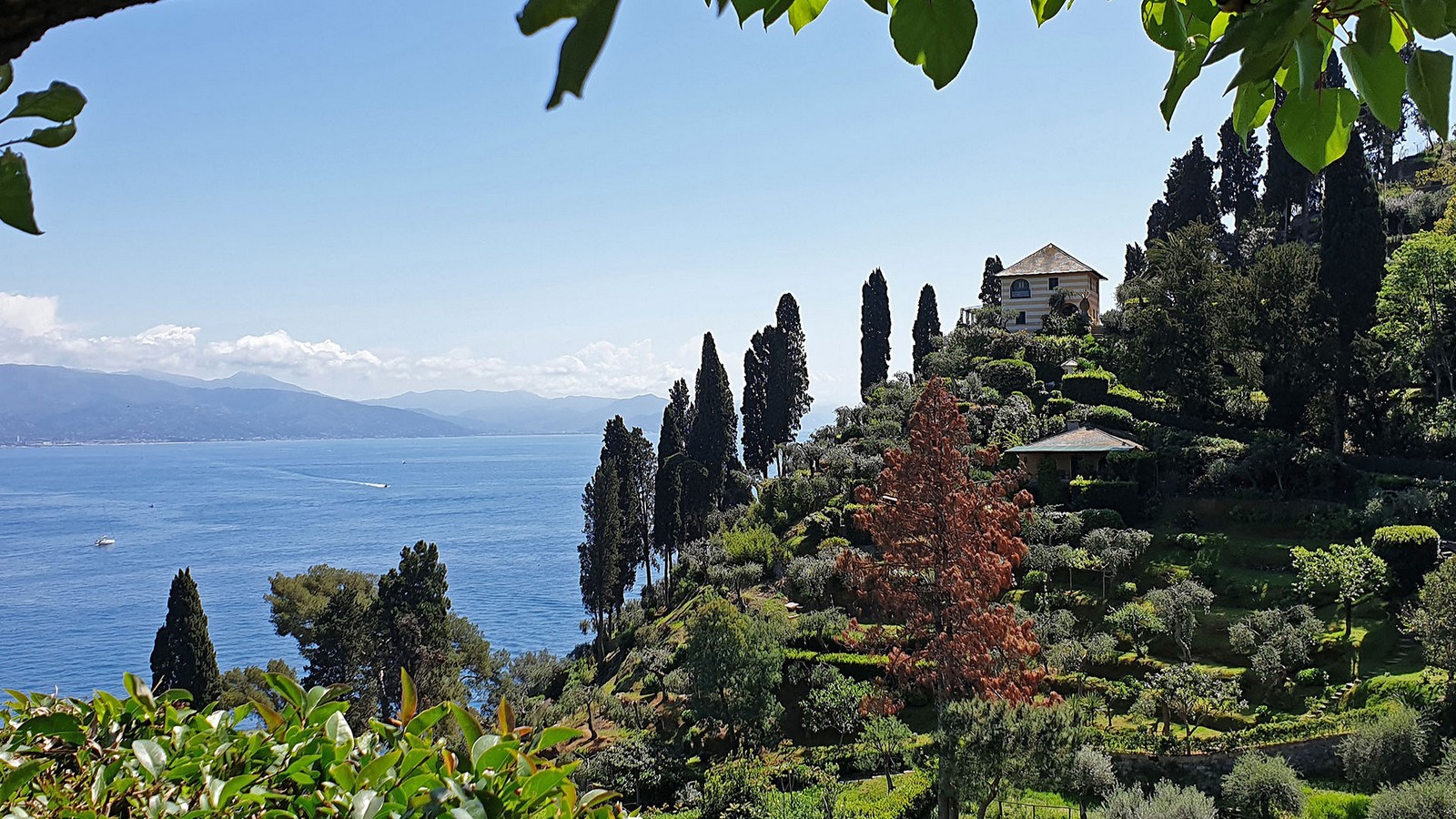 Cape of Portofino